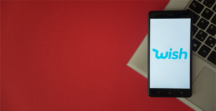 France WS screening methods